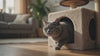Cat on modern cat tree — PawLab hero