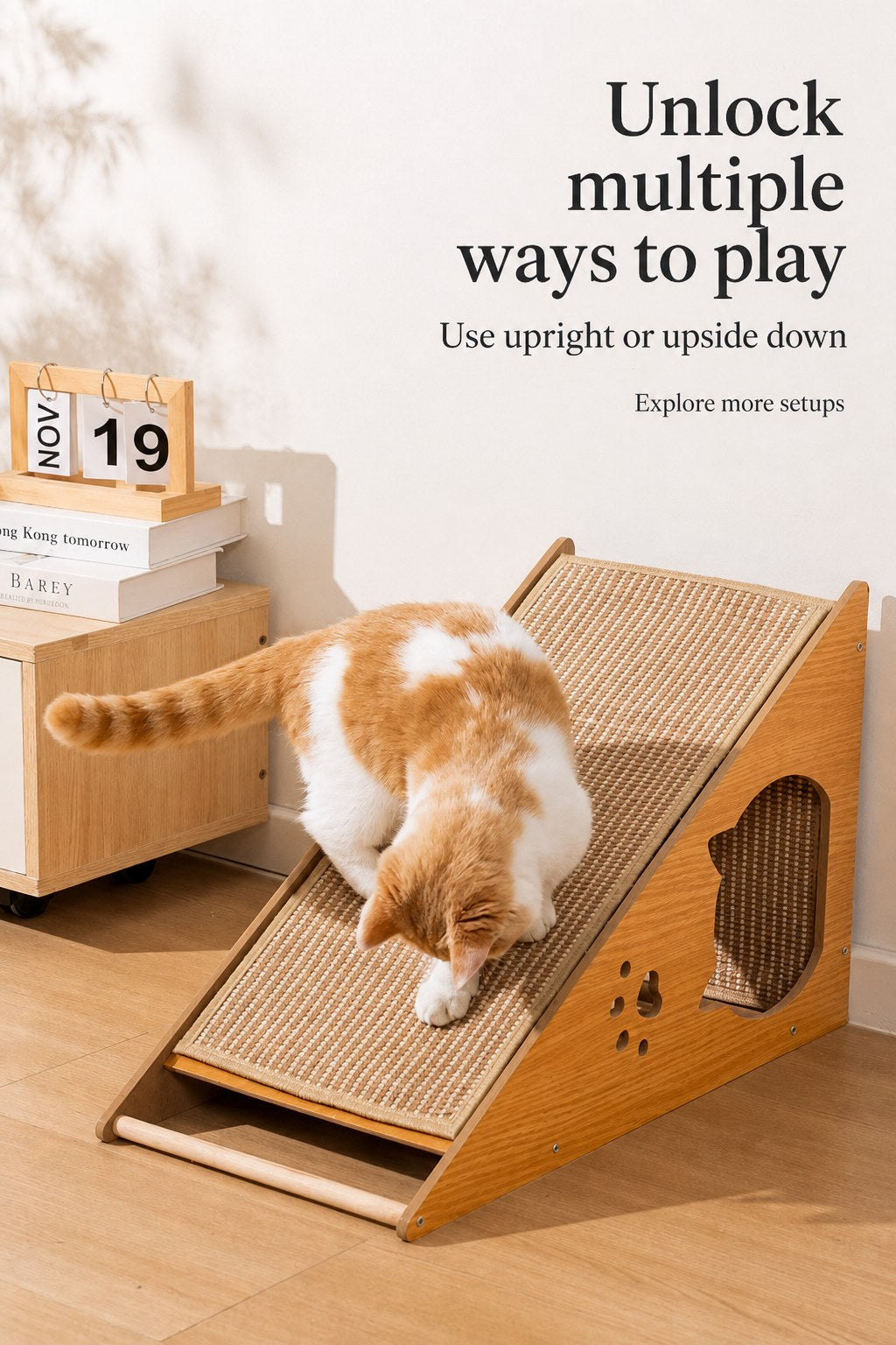 Use upright or upside down — versatile play — PawLab