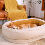 Washable bolster dog bed — lifestyle