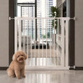 Indoor Pet Safety Gate — w5-06-01-hero — PawLab lifestyle